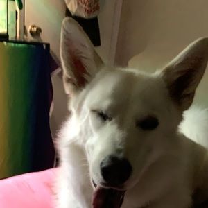 Meet your Posher, Elizabeth